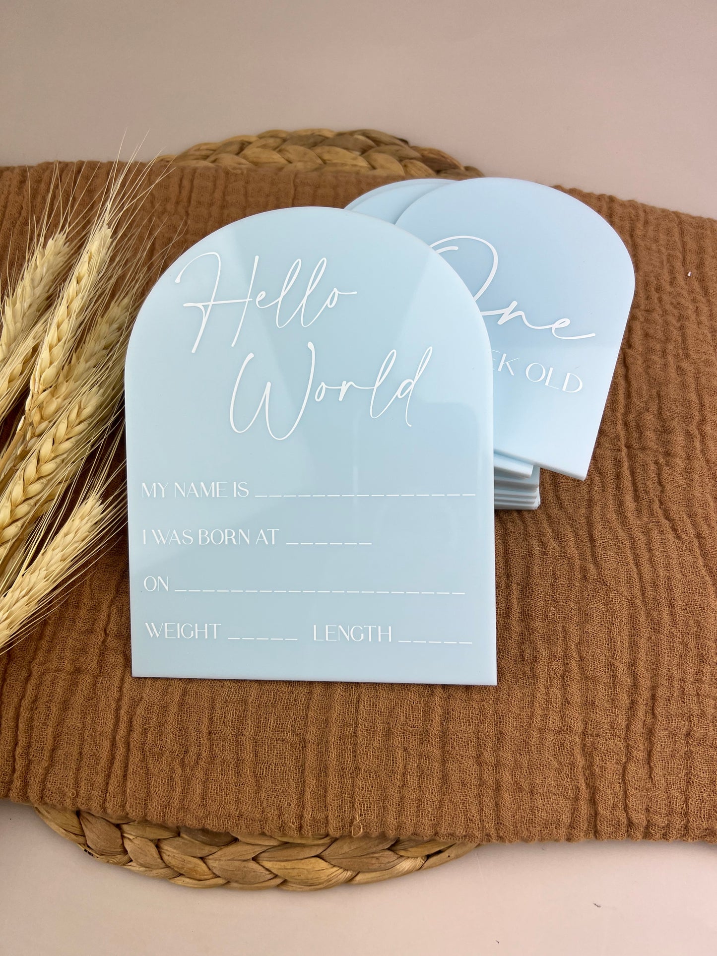 Acrylic Baby Milestone Discs - Arch (Set 16)