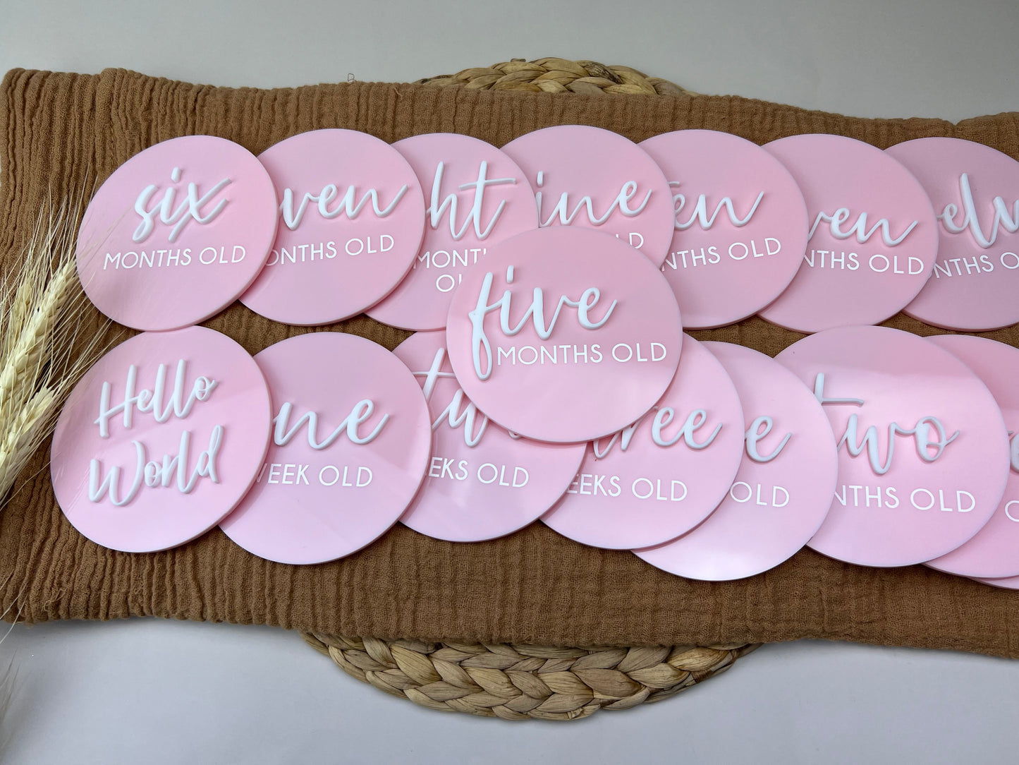 Baby Milestone Discs - 3D/Print Combo Acrylic (Set 16)