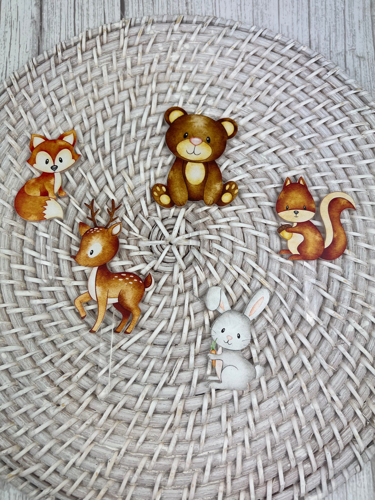 Printed Cake Topper Set - Woodland Animals