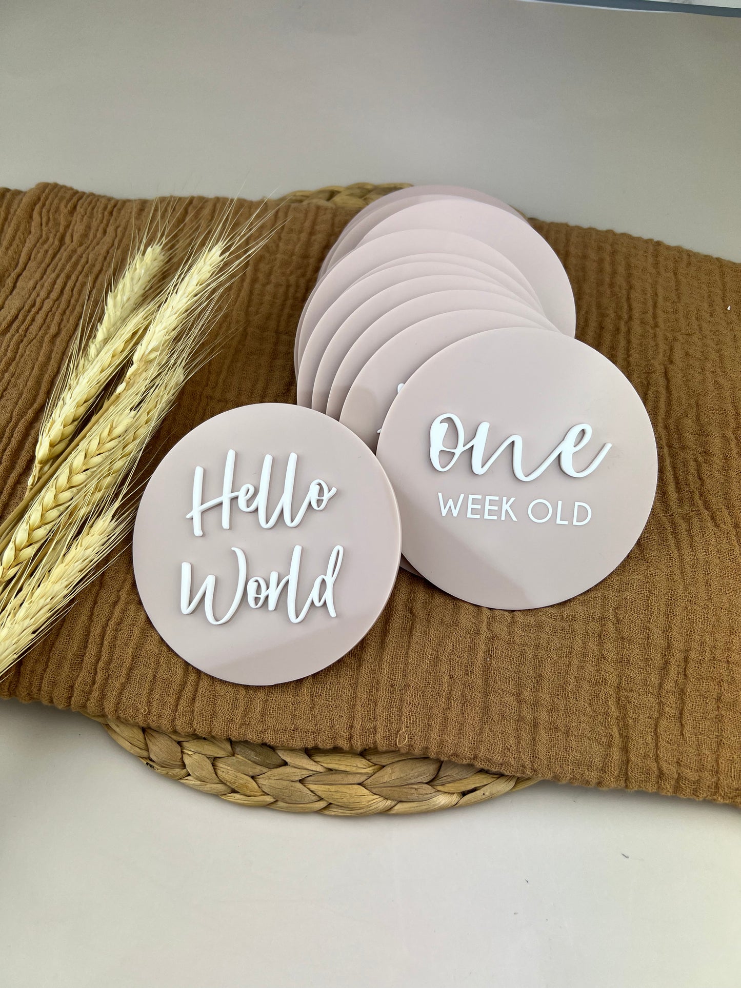 Baby Milestone Discs - 3D/Print Combo Acrylic (Set 16)