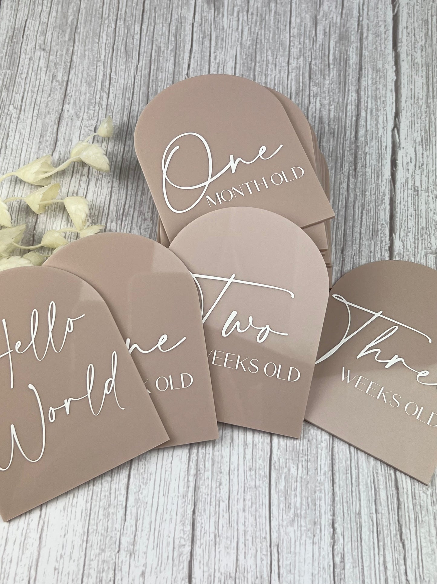 Acrylic Baby Milestone Discs - Arch (Set 16)