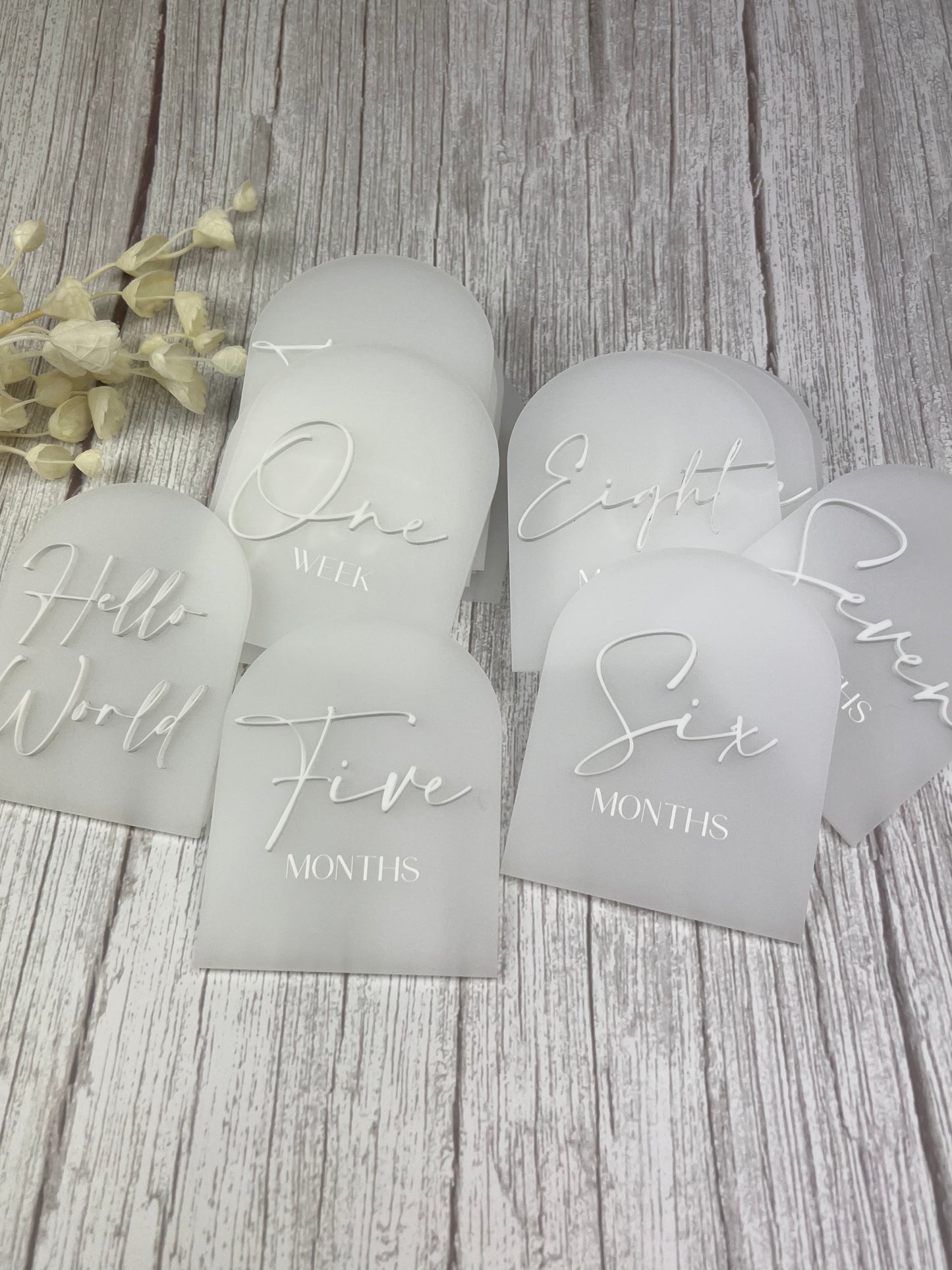 Arch Baby Milestone Discs - 3D/Print Combo Acrylic (Set 16)