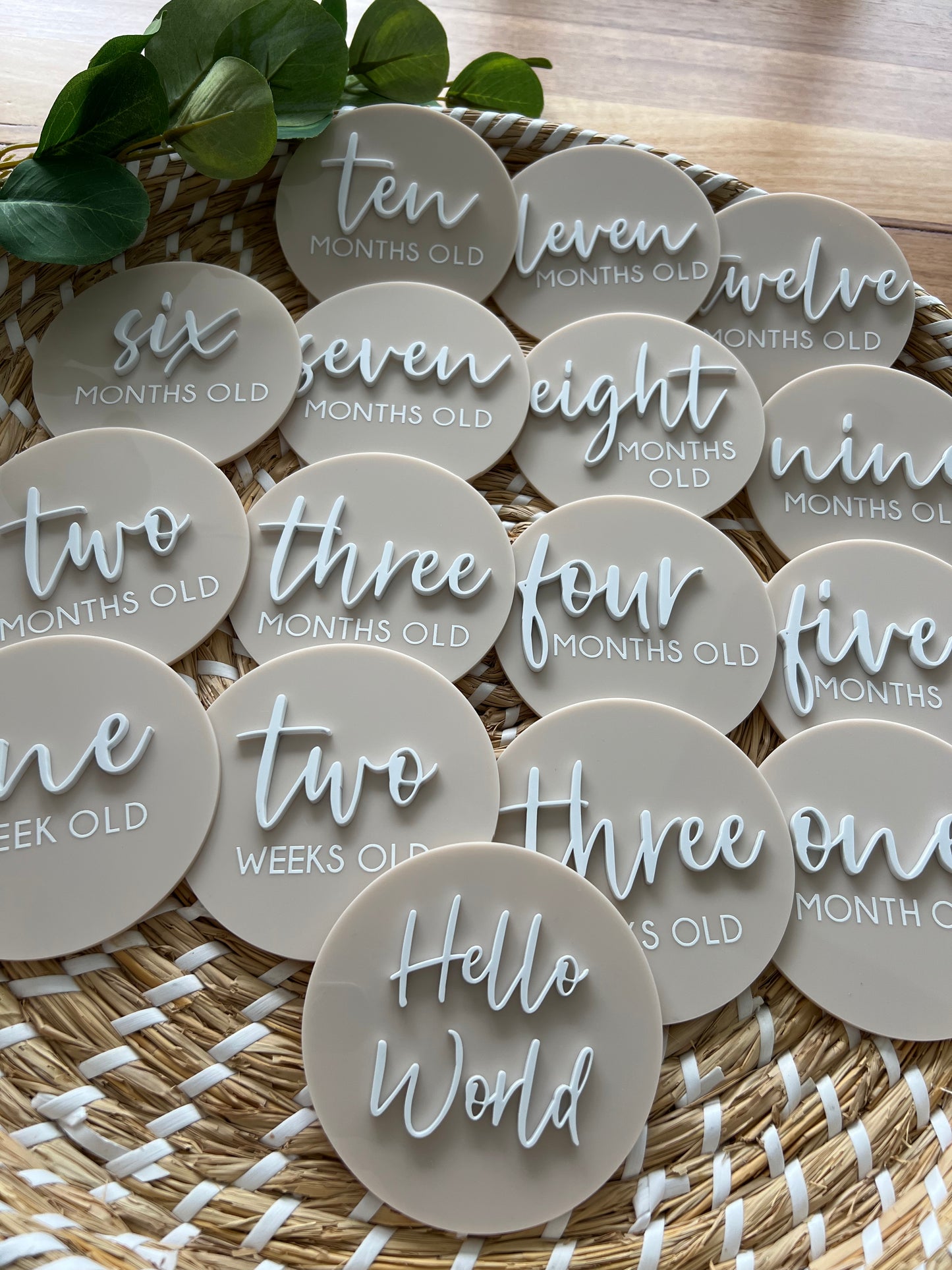 Baby Milestone Discs - 3D/Print Combo Acrylic (Set 16)
