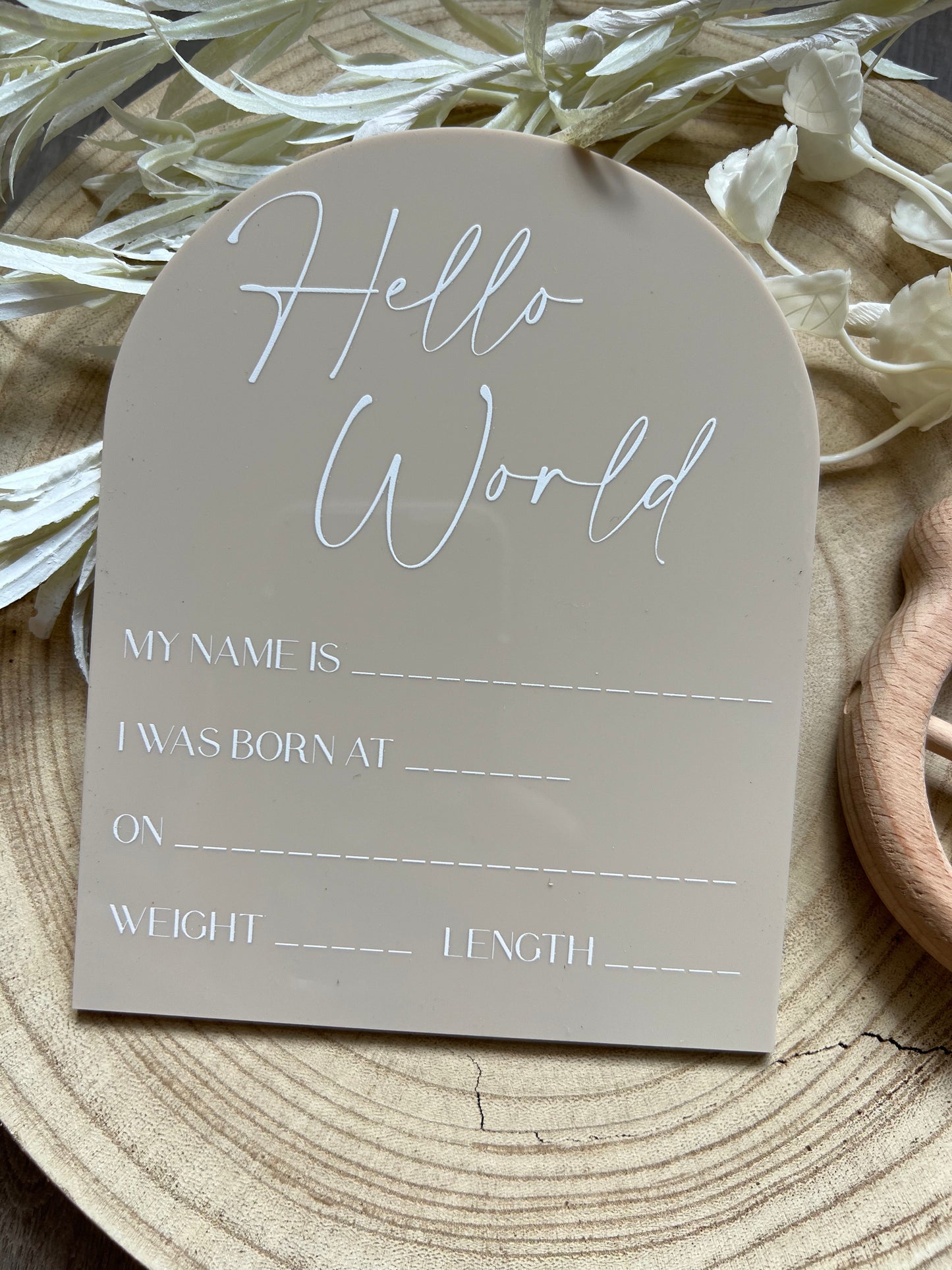 Acrylic Baby Milestone Discs - Arch (Set 16)