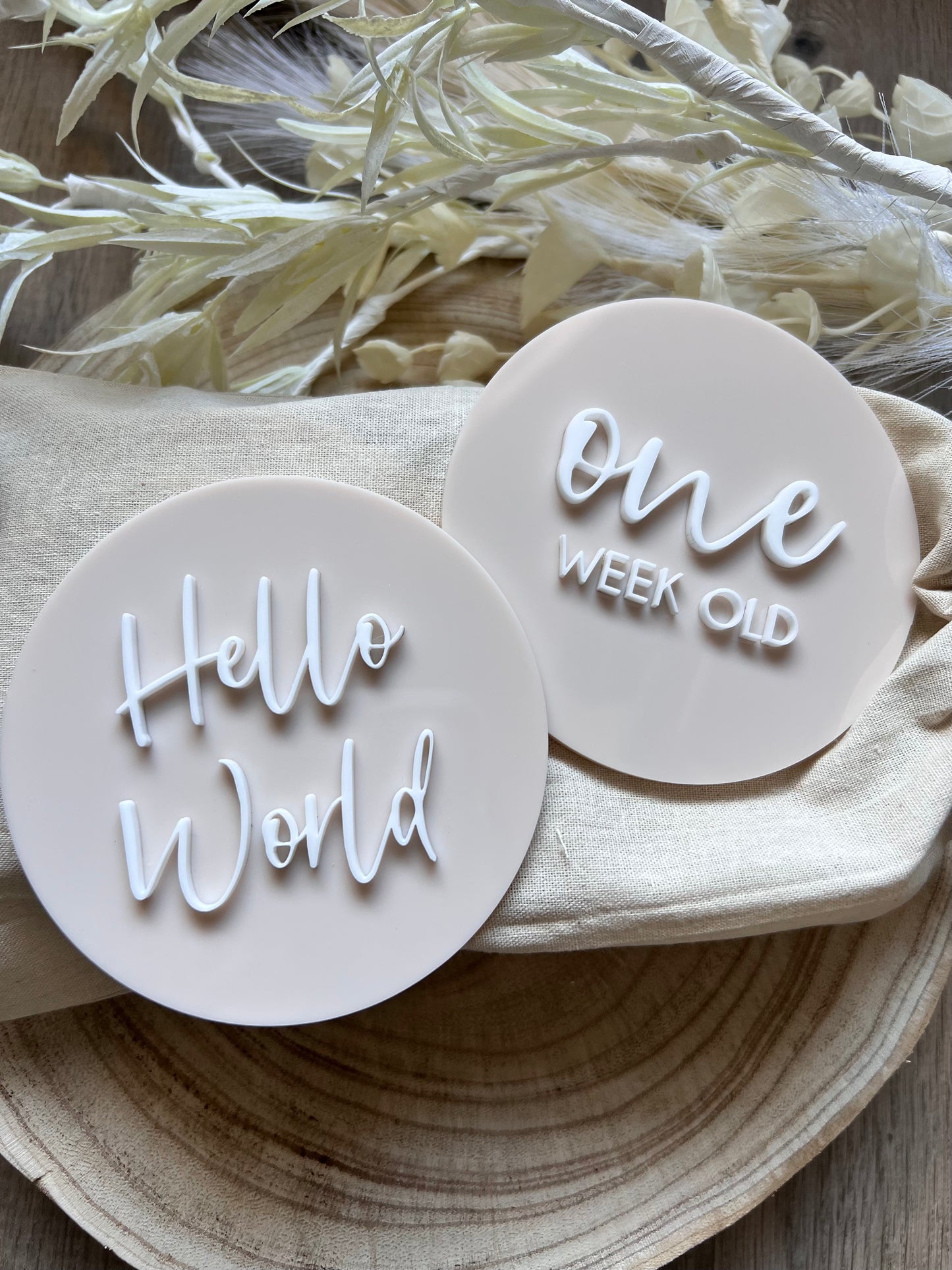 Baby Milestone Discs - 3D Acrylic (Set 16)