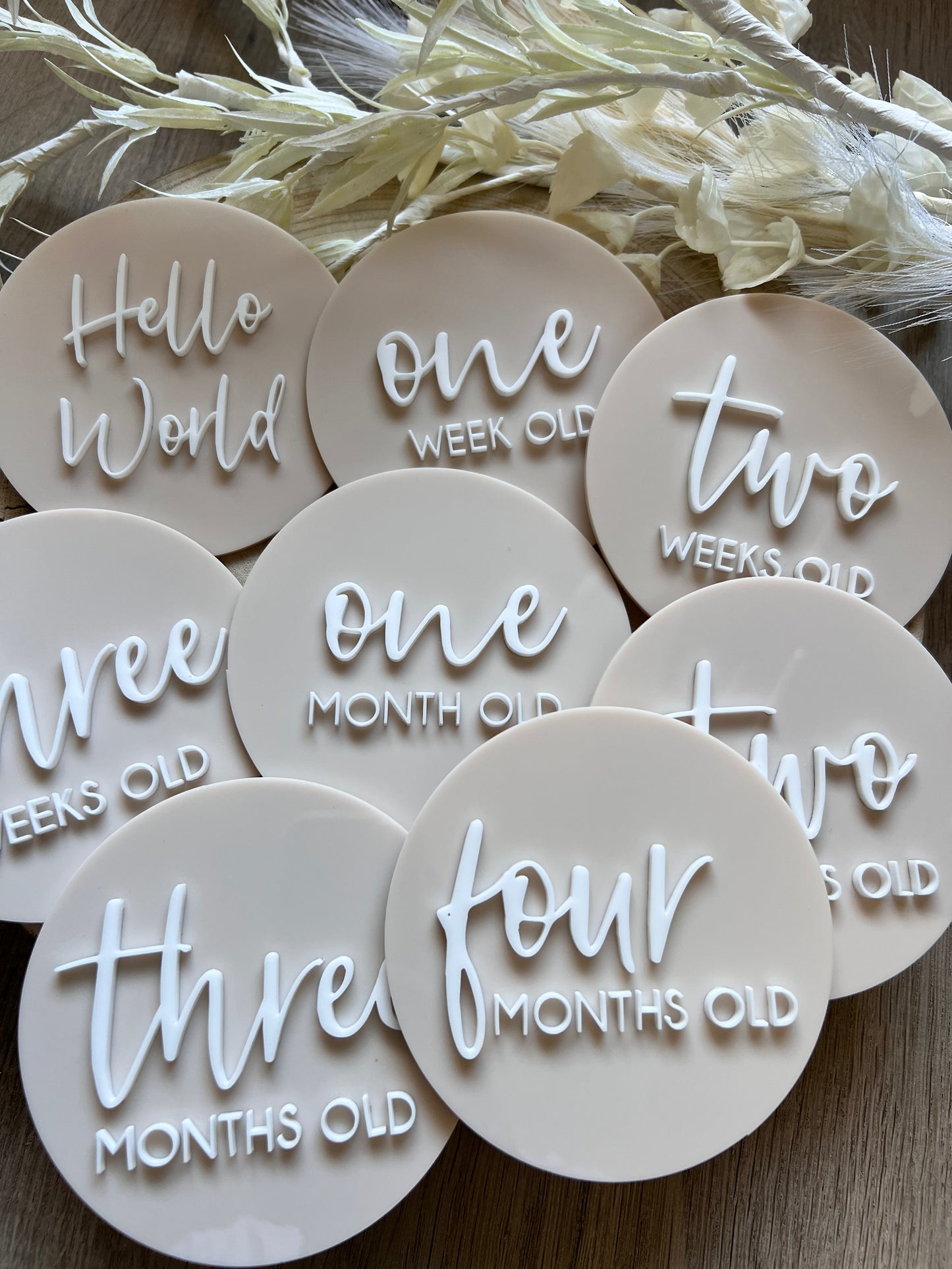 Baby Milestone Discs - 3D Acrylic (Set 16)