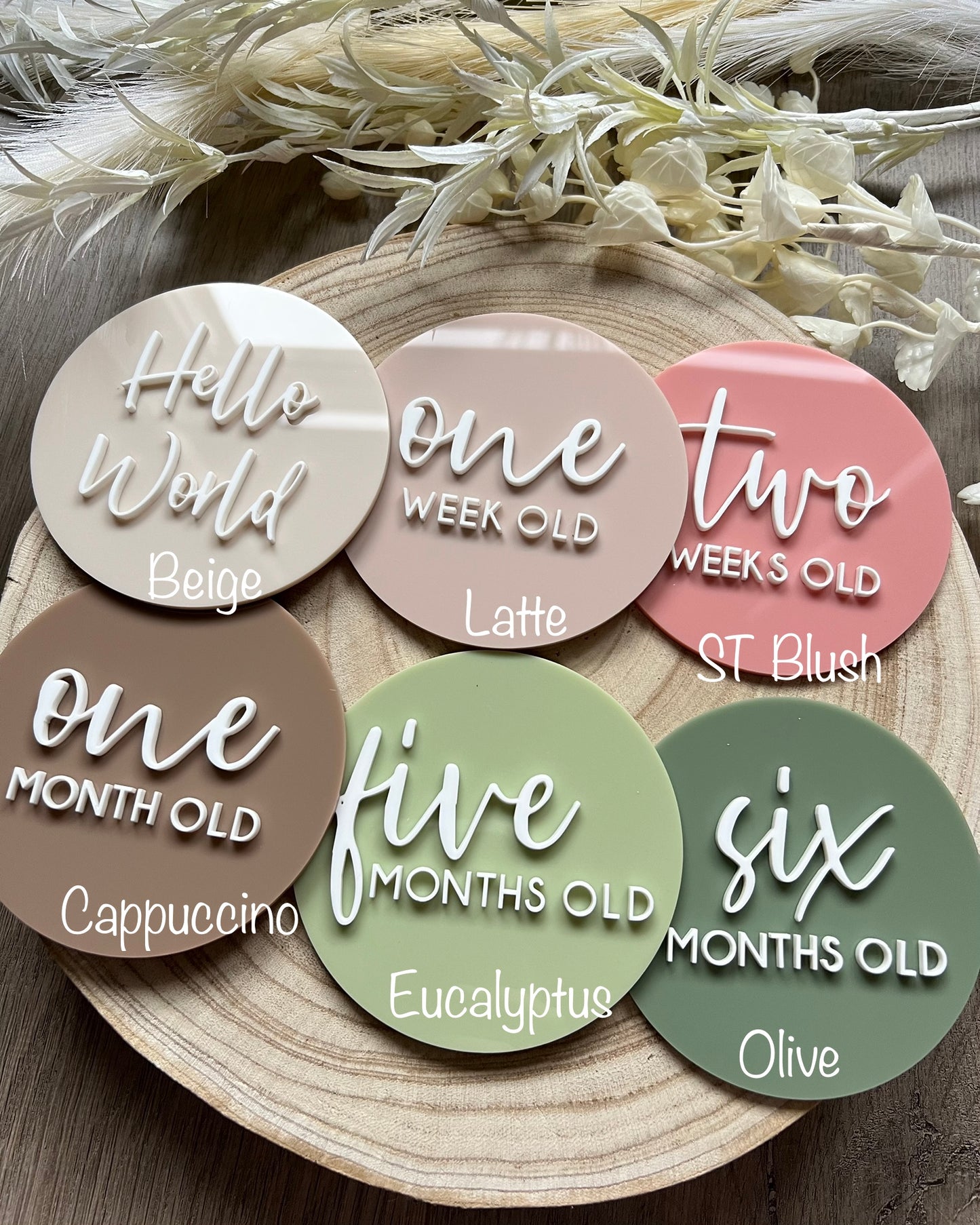 Baby Milestone Discs - 3D Acrylic (Set 16)