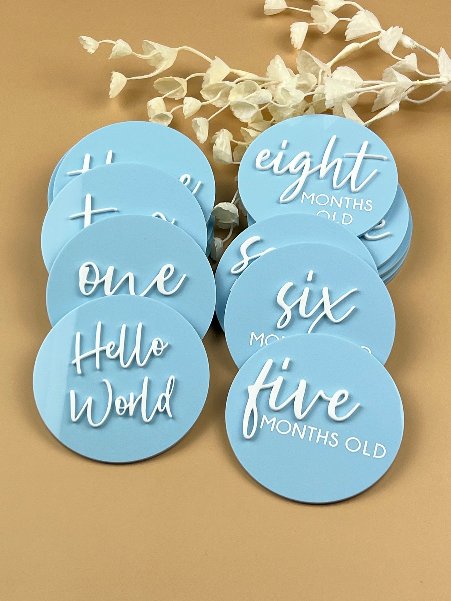 Baby Milestone Discs - 3D/Print Combo Acrylic (Set 16)