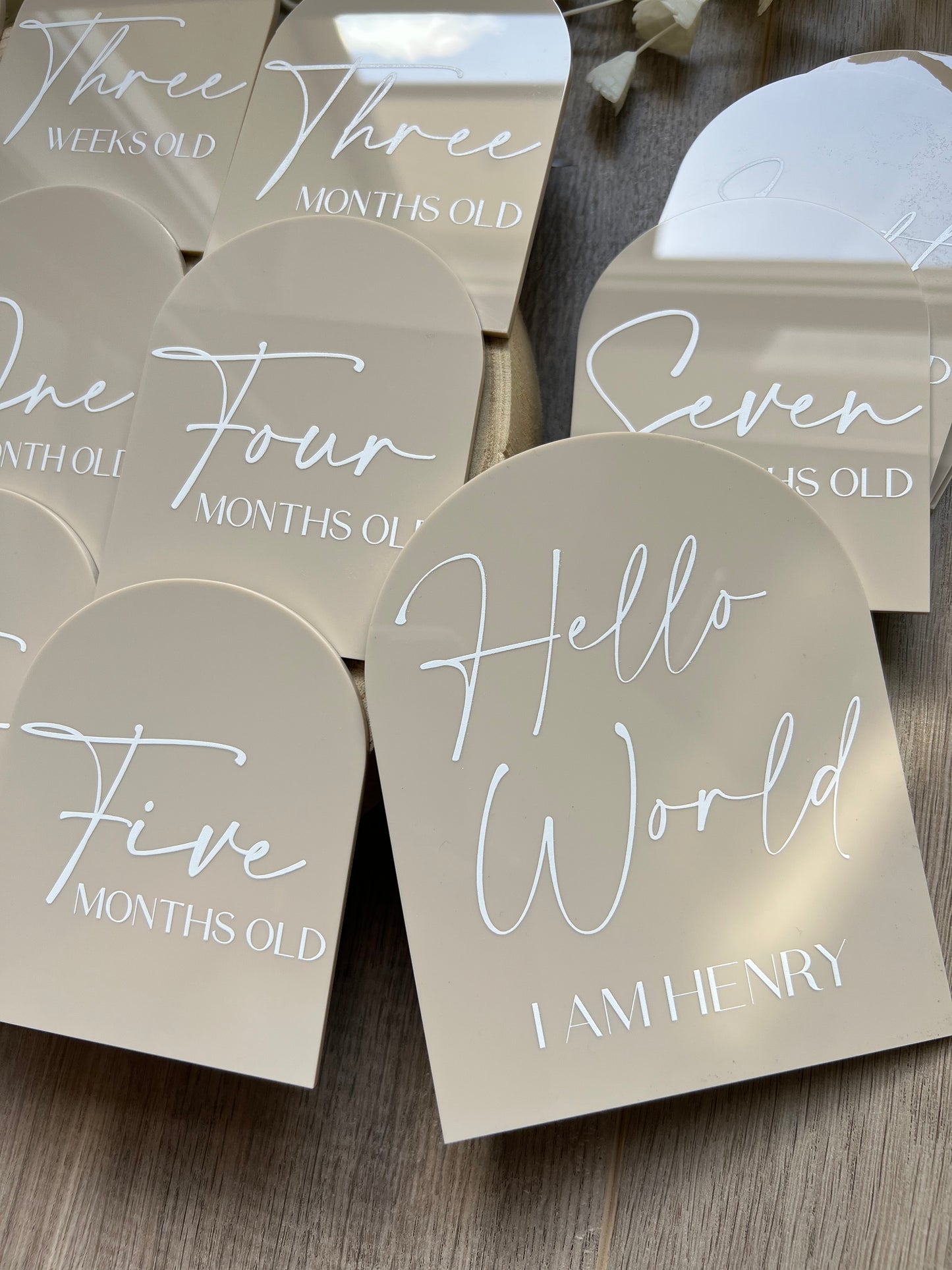 Acrylic Baby Milestone Discs - Arch (Set 16)