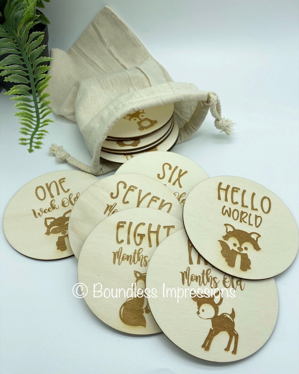 Baby Timber Milestone Discs (Set 16)