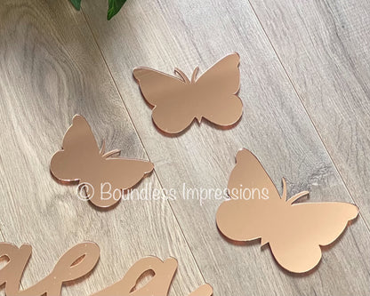Acrylic 'Butterfly' Features (Set 3)