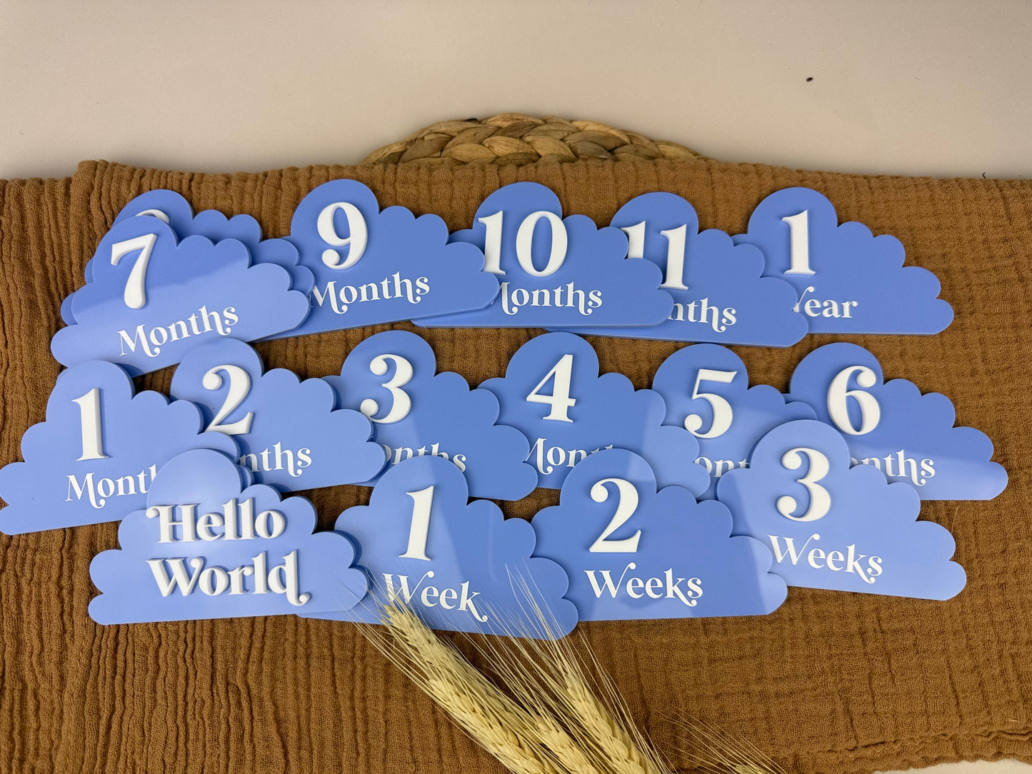 Cloud Baby Milestone Discs - 3D/Print Combo Acrylic (Set 16)