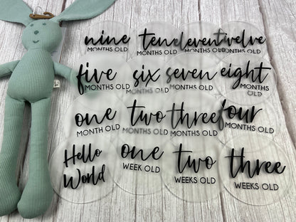 Baby Milestone Discs - 3D/Print Combo Acrylic (Set 16)