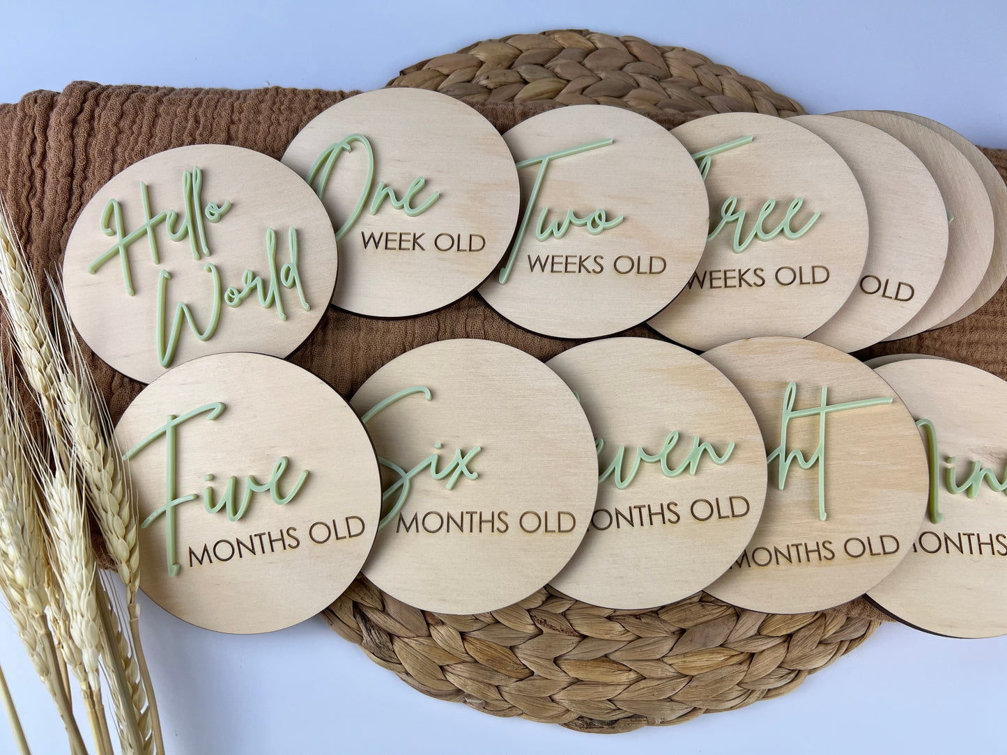 Baby Milestone Discs - Wood/Part Acrylic (Set 16)