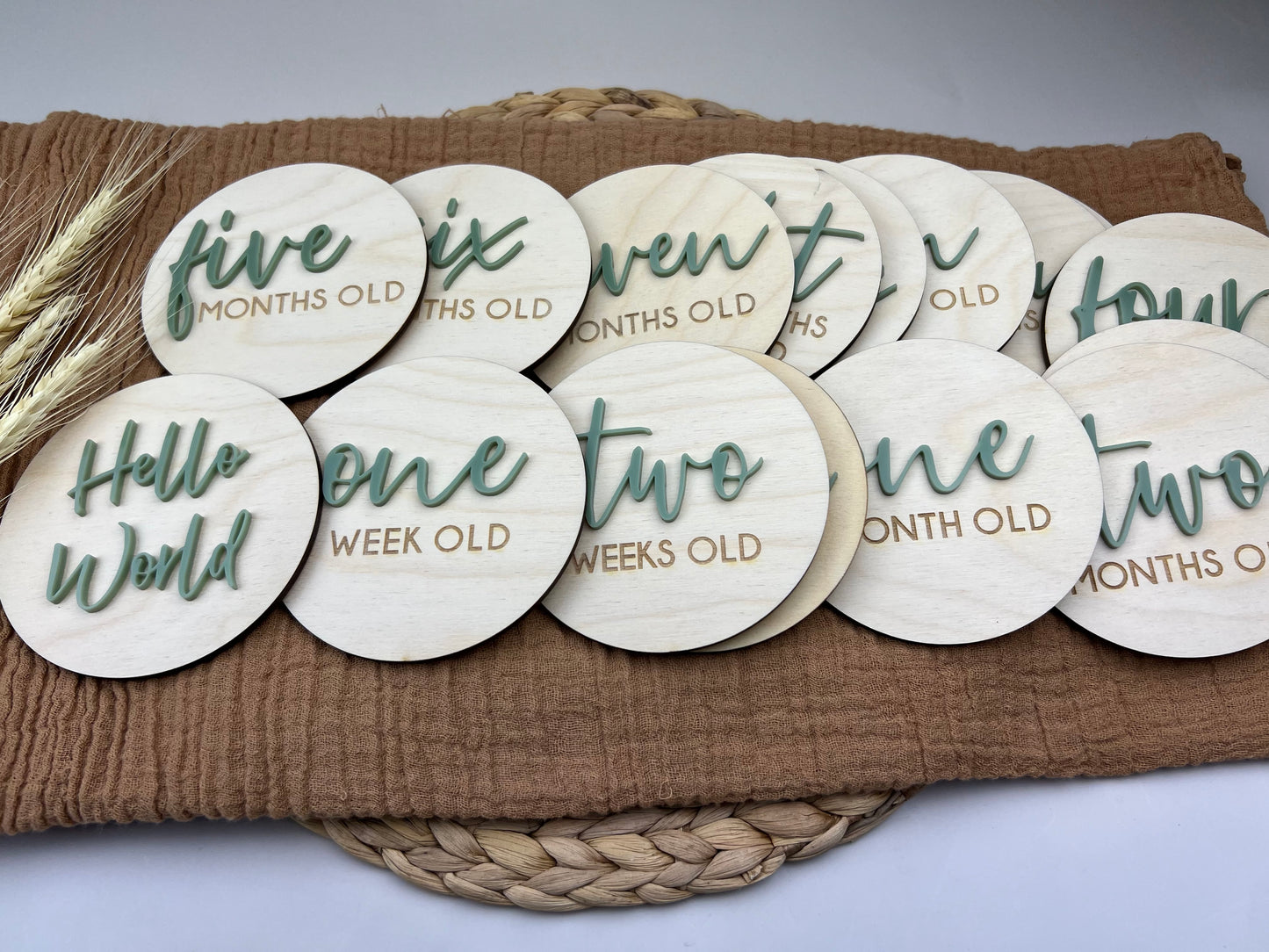 Baby Milestone Discs - Wood/Part Acrylic (Set 16)