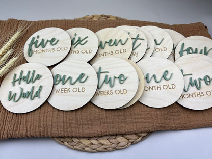 Baby Milestone Discs - Wood/Part Acrylic (Set 16)