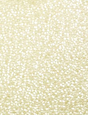 Embossed Pebble Paper - Ivory (DISCONTINUED)