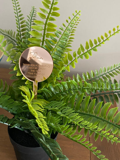 Mini Plant Stake