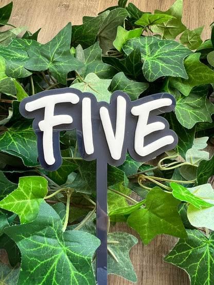 Medium 2 Layer Acrylic Cake Topper (12cm)